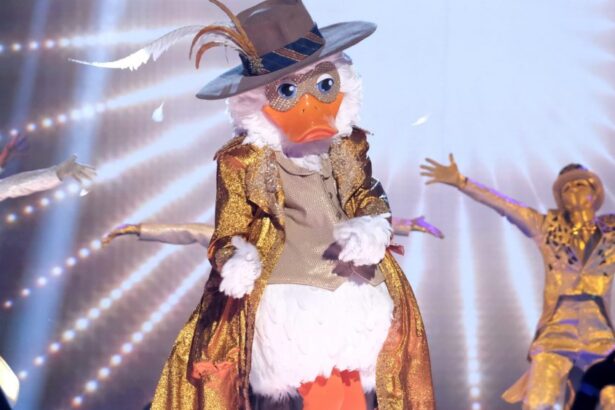 The Masked Singer Season 13 Episode 12 Recap: Lucky Duck Reveal
