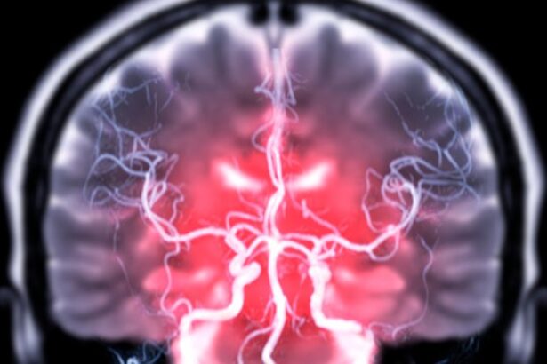 The Mere Thought of Being Hungry Could Alter Your Immune System : ScienceAlert