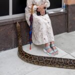 The Pure Street Photography Competition Spotlights Humor and Chance Amid the Ordinary — Colossal