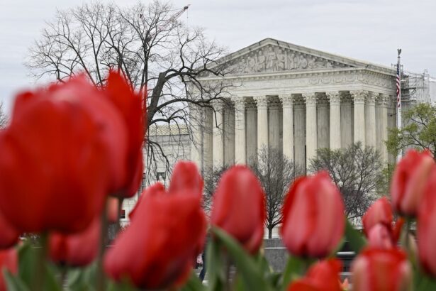 The Supreme Court could limit agencies’ duty to consider environmental harms