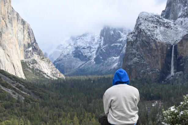 The Trump administration’s push to privatize US public lands