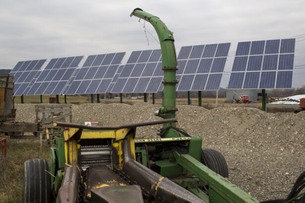 The USDA is unfreezing clean energy money — but ‘inviting’ grant recipients to remove DEI and climate language