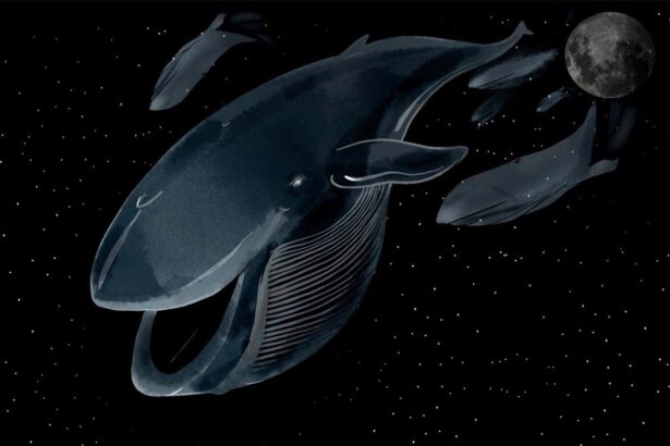 The blue whale: the world’s most versatile measuring stick?