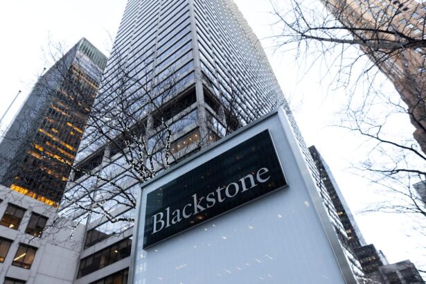 The new way Wall Street giant Blackstone is trying to reach the investing masses
