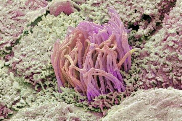 This Overlooked Bodily Waste Product Is Proving Useful For Medical Research : ScienceAlert