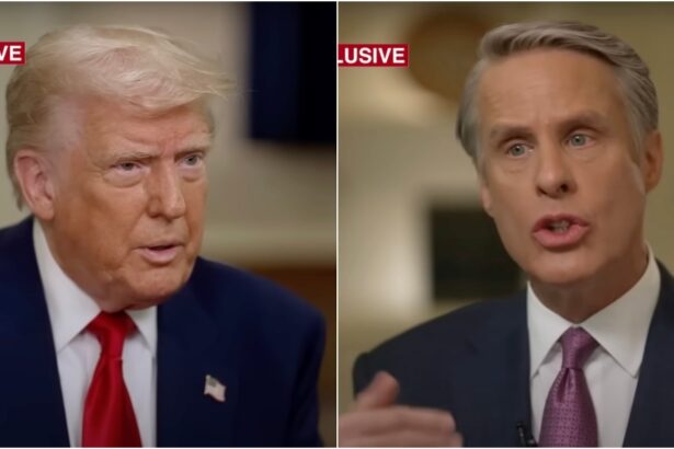 Trump Destroys ABC Hack Reporter in Explosive Interview — “They’re Giving You the big break of a Lifetime… I Picked You Because Frankly I Never Heard of You” |