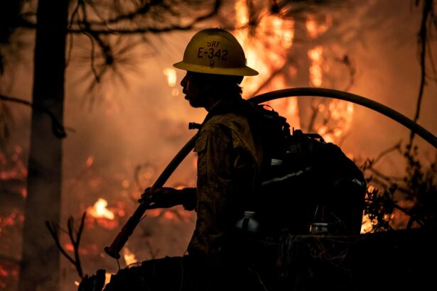 Trump said cuts wouldn’t affect public safety. Then he fired hundreds of workers who help fight wildfires.