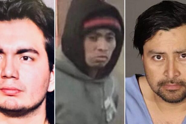 Trump’s Border War Exposes Heinous Crimes From Undocumented Immigrants