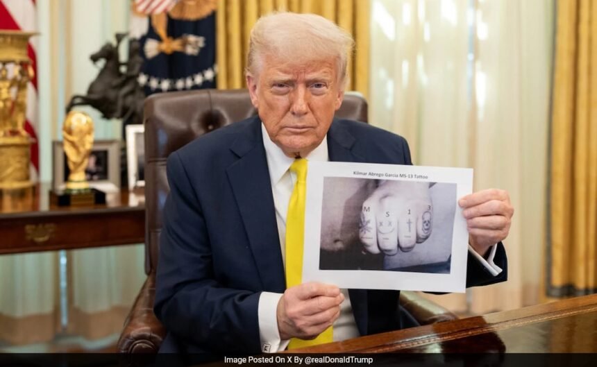 Trump’s MS-13 Tattoo Photo Sparks Debate