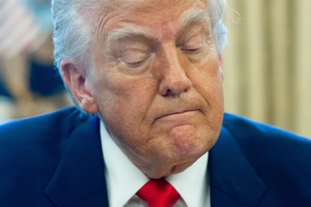 Trump’s Trade War Has Shattered Consumer Confidence