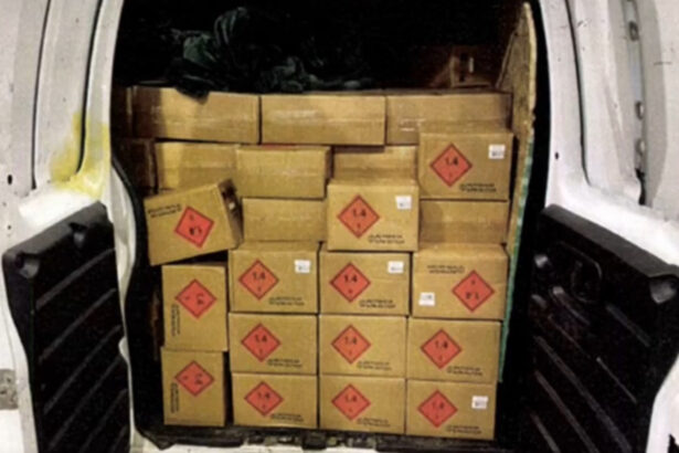 Two Mexican Nationals Busted in Colorado With 180,000 Rounds of Ammunition (VIDEO) |