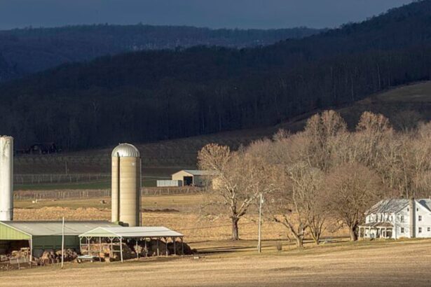 USDA Paid to Study ‘Queer Farmers’, ‘Latinx’ Masculinity, and Worse on Taxpayer Dime