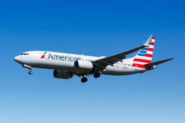 Unruly plane passenger throws fit over meal, forces Milan-bound American Airlines flight to divert back to JFK: report