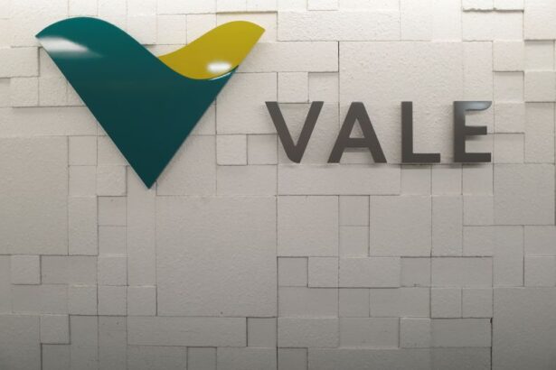 Vale’s iron ore output falls in first quarter hurt by Brazil rains