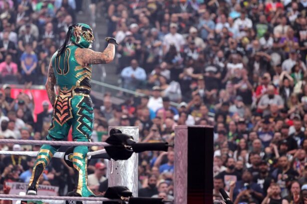 WWE Acquires Mexican Wrestling Promotion AAA, Joint Show Set for June