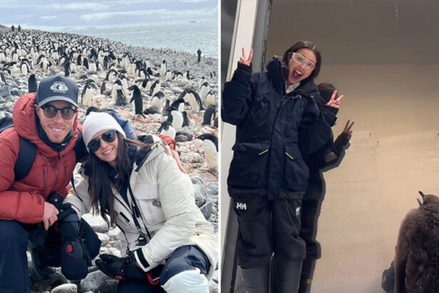 Waddle With These Stars ‘N Penguins For World Penguin Day!