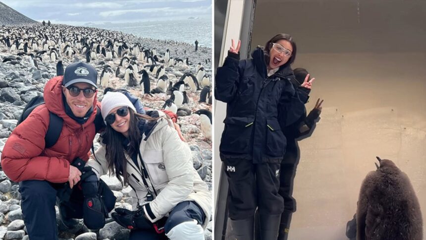 Waddle With These Stars ‘N Penguins For World Penguin Day!