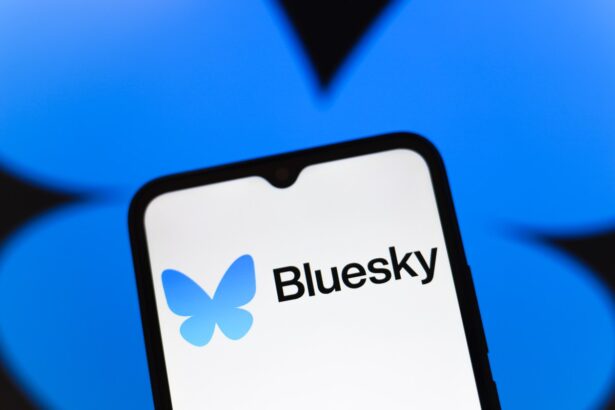 Wait, how did a decentralized service like Bluesky go down?