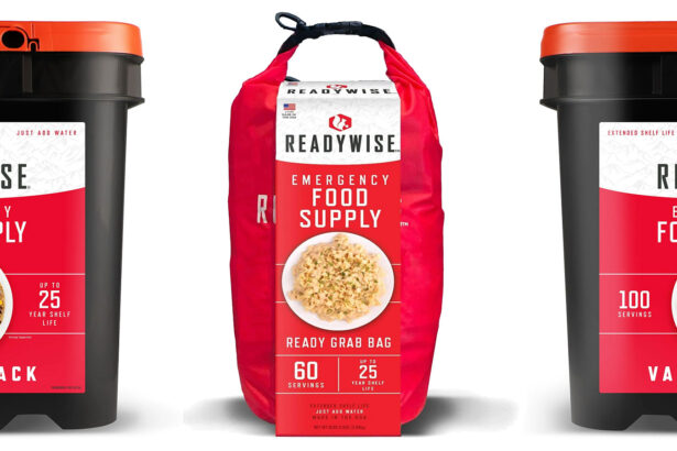 Walmart is clearing out ReadyWise emergency food supplies so stock up before you need it