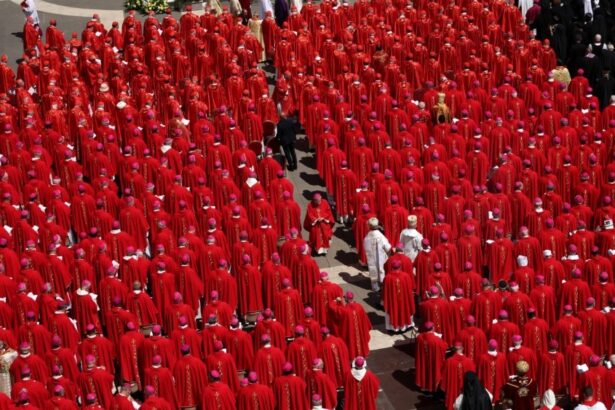 What Occurred at St. Peter’s Square