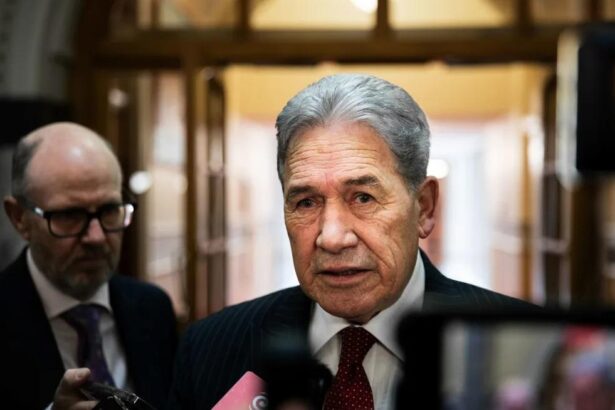 What is a woman? NZ First’s revolving door of member’s bills