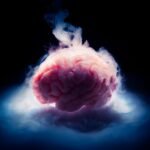 Where Does Consciousness Come from? Two Neuroscience Theories Go Head-to-Head