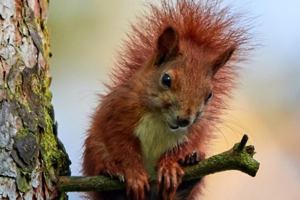 Why Aren’t Humans as Hairy as Other Mammals? Here’s The Science. : ScienceAlert