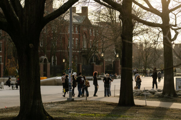 Why Harvard Decided to Fight Trump