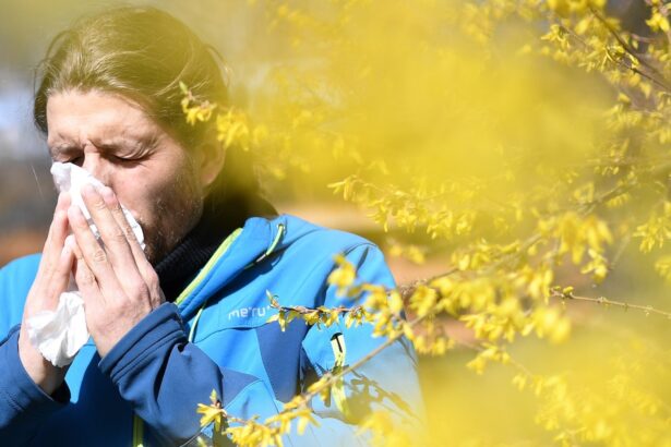 Why are some cities worse for allergies than others?
