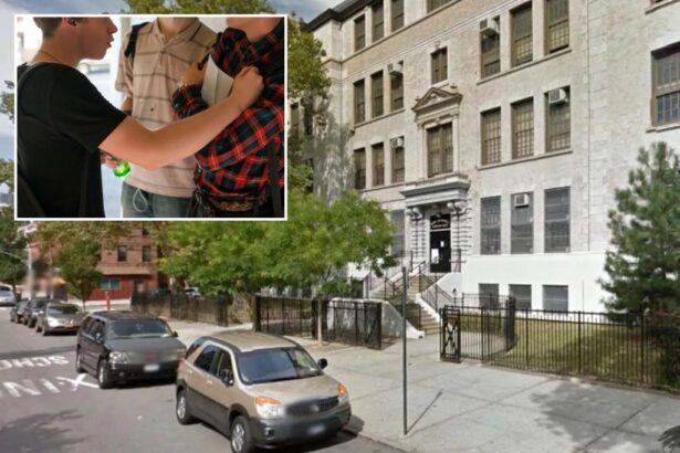 Wilding at will — NY’s ‘reforms’ let kids sow terror