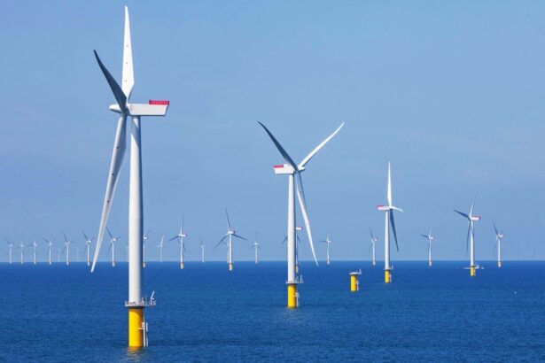 Wind farm developers are worried about neighbours stealing their wind