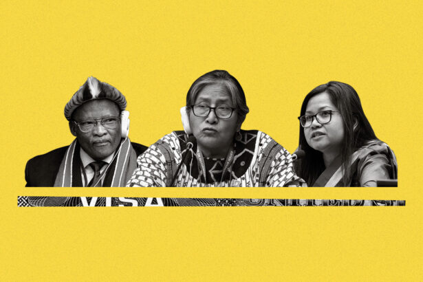 With climate action at stake, pro-Trump statement at UNPFII met with silence