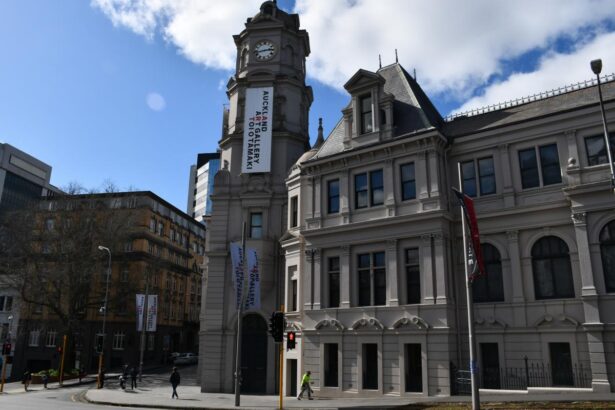 Woman damages artwork at glitzy Auckland Art Gallery event