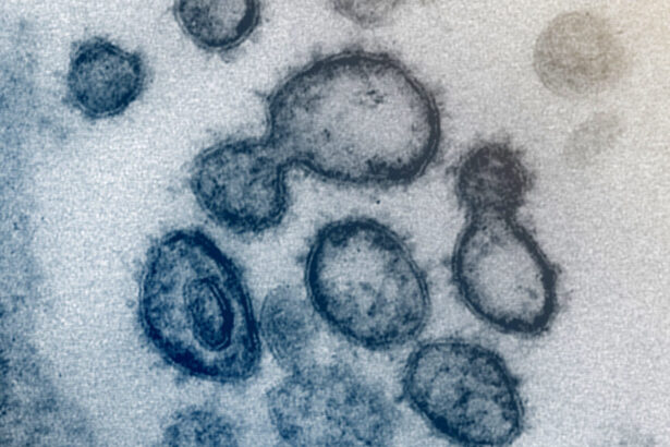 Wuhan lab leak theory replaces Covid facts on White House website