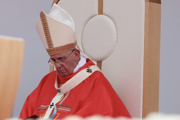 ​Bergoglio’s Legacy: Pope Francis Appointed 109 of the 135 Cardinal Electors for the Next Pope – It Is Likely an Even More Radical Pope than Francis will Follow |