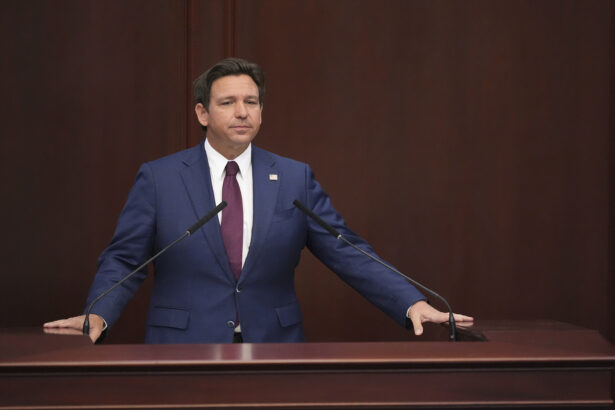 ‘He repels people’: DeSantis tears into Fine after Florida special election underperformance