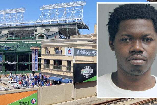 ‘I need a new phone’ explains man accused of trying to rob CTA passenger of a phone