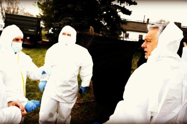 ‘We May Be Dealing With an Artificially Engineered Virus’: Hungarian Senior Official Says Outbreak of Foot-and-Mouth Disease in the Country May Be BIOTERRORISM Attack |