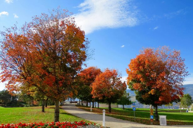 1 in 10 asthma cases can be avoided with a better urban environment, large-scale study finds