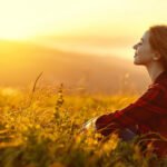101 Sunshine Quotes to Brighten Your Day and Help You Shine Like the Sun