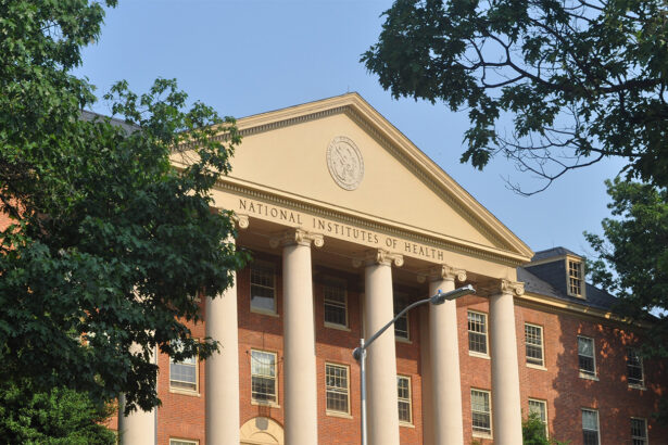 .8 billion in NIH grant cuts hit minority health research the hardest