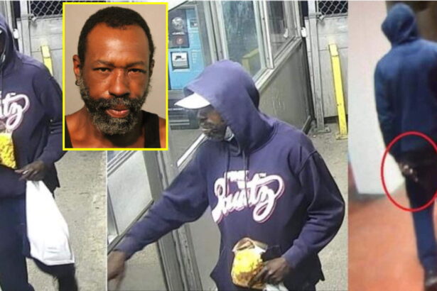 19-time convicted felon gets 12 years for murdering man aboard CTA train in the Loop