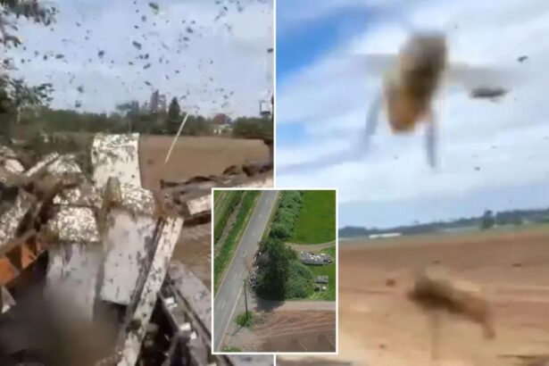 250 million bees escape after semi-truck overturns in Washington State