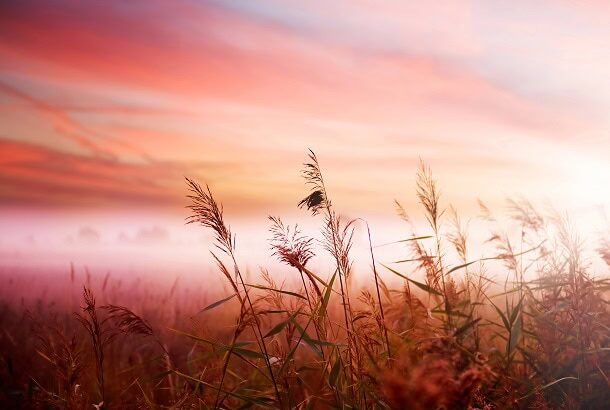 3 Things You Need to Stop Doing to Live a Simpler Life