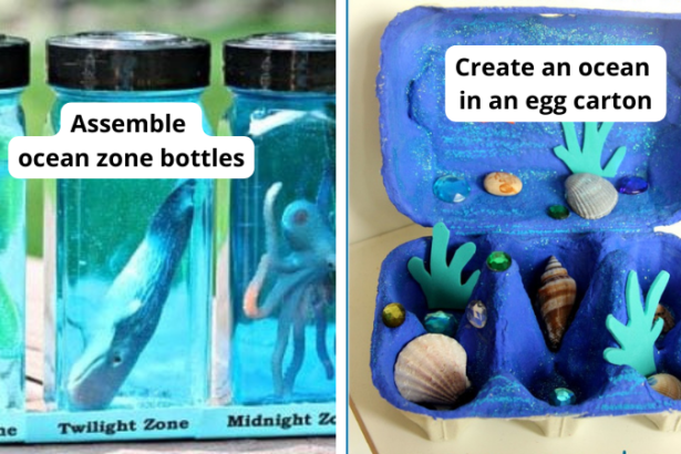 34 Ocean Activities, Experiments, and Crafts for Kids To Dive Into