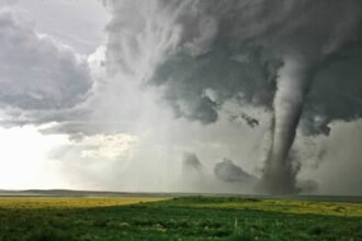 4 Ways the Trump Administration Is Making Danger Season Worse this Year