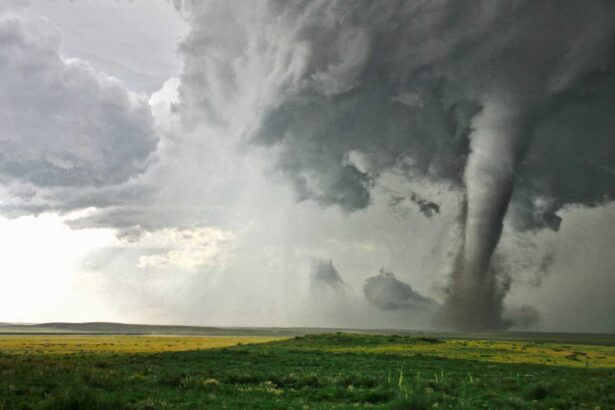 4 Ways the Trump Administration Is Making Danger Season Worse this Year