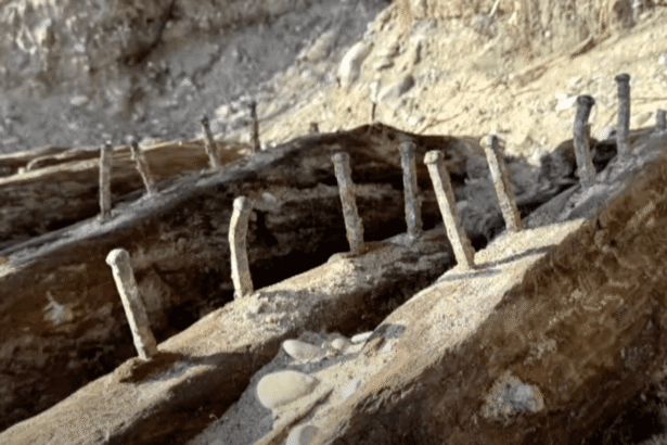 8-year-old kid with a metal detector stumbles upon a 19th century shipwreck 