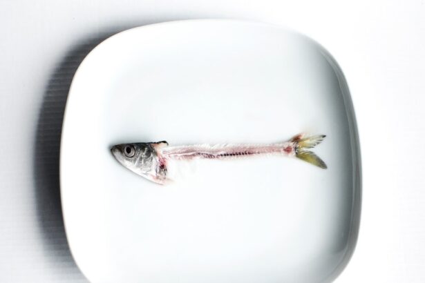 Why Marine Collagen Wins When It Comes to Better Skin