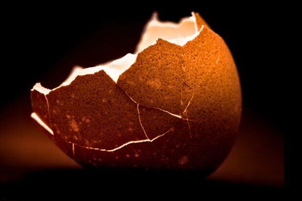 A Food Scientist Explains The Best Way to Peel a Boiled Egg : ScienceAlert